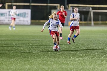 Bild 172 - wBJ Hamburger SV - Eimsbuettler TV 2 : Ergebnis: 16:0